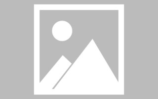 单县论文网站建设（网站建设的论文）